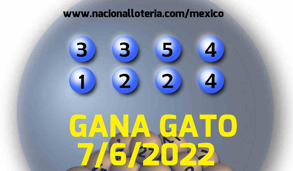 Números ganadores del Gana Gato del Martes 7 de Junio de 2022 Resultados del Gana Gato del Martes 7 de Junio de 2022