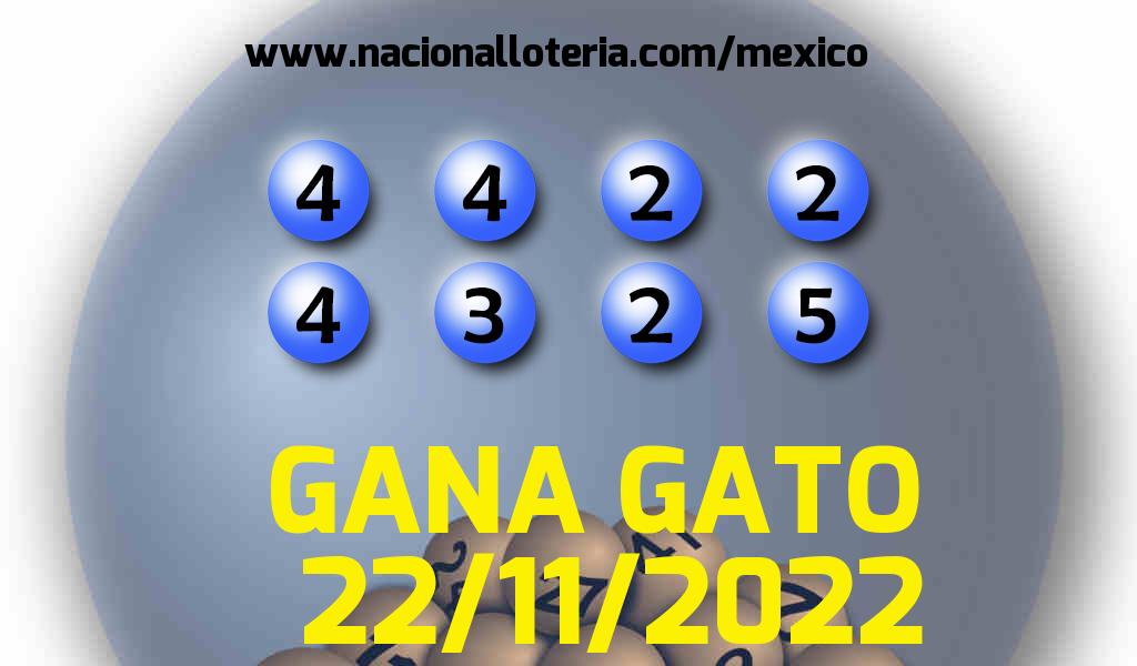 Resultados del Gana Gato del Martes 22 de Noviembre de 2022