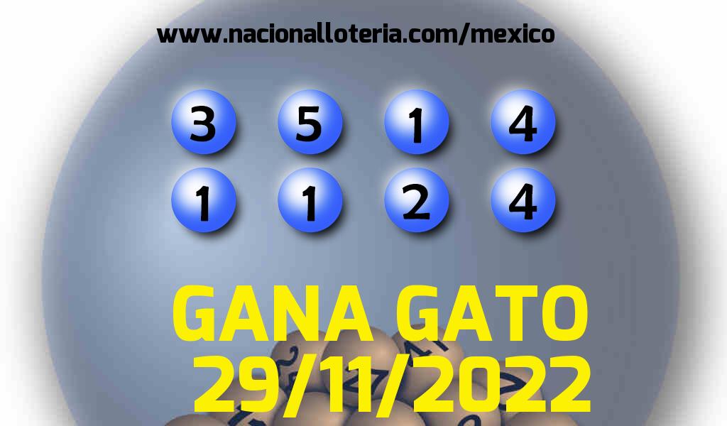 Resultados del Gana Gato del Martes 29 de Noviembre de 2022