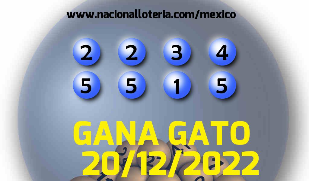 Resultados del Gana Gato del Martes 20 de Diciembre de 2022