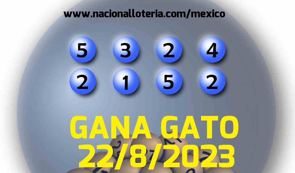 Resultados del Gana Gato del Martes 22 de Agosto de 2023
