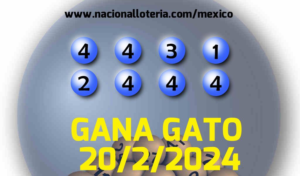 Resultados del Gana Gato del Martes 20 de Febrero de 2024
