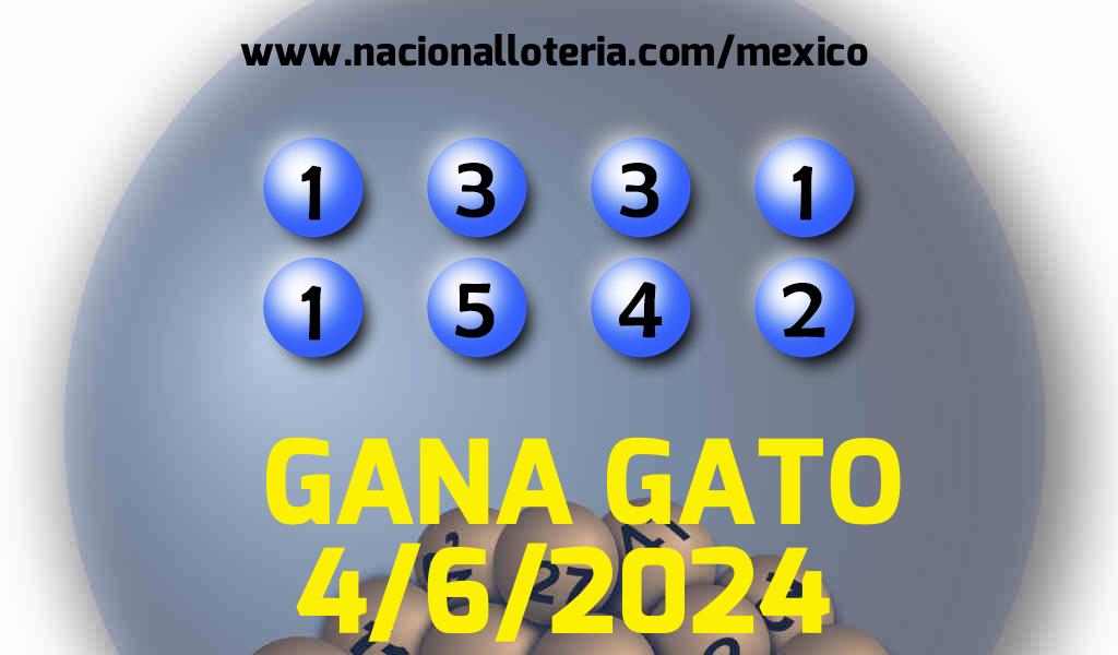 Resultados del Gana Gato del Martes 4 de Junio de 2024