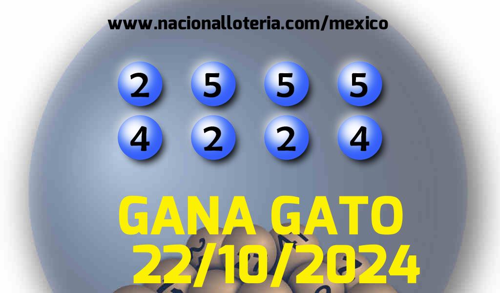 Resultados del Gana Gato del Martes 22 de Octubre de 2024
