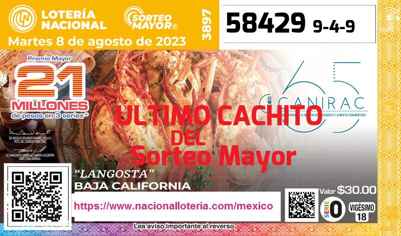 Cachito del último Sorteo Mayor premiado en la Lotería Nacional del Martes 8 de Agosto de 2023 Último Sorteo Mayor de la Lotería del Martes 8 de Agosto de 2023