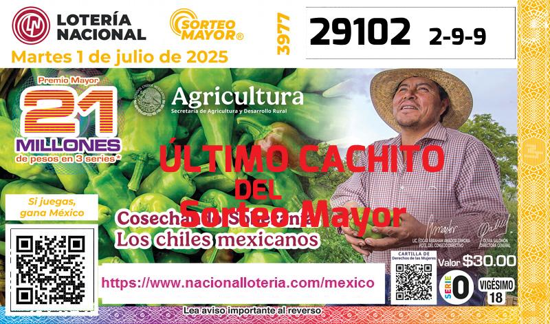Cachito del último Sorteo Mayor premiado en la Lotería Nacional del Martes 1 de Julio de 2025 Último Sorteo Mayor de la Lotería del Martes 1 de Julio de 2025